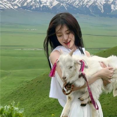 猪年（纪录片）
